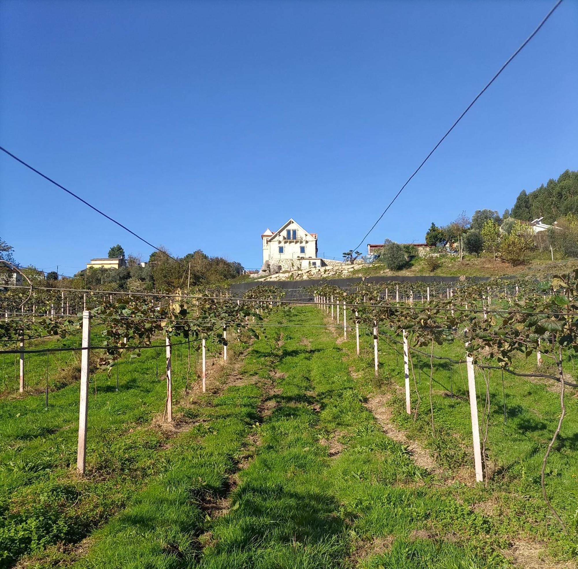 הוילה ויירה דו מיניו Quinta Do Bairro מראה חיצוני תמונה