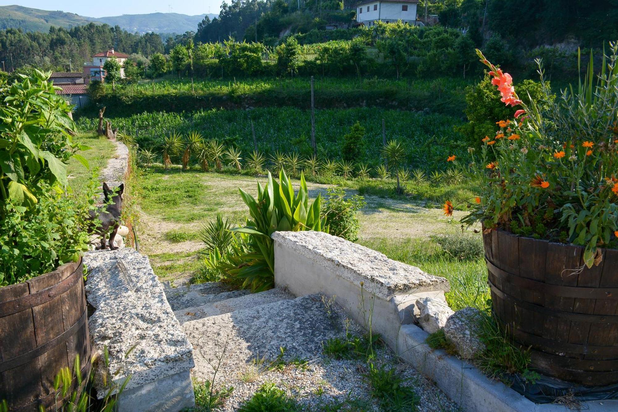 הוילה ויירה דו מיניו Quinta Do Bairro מראה חיצוני תמונה